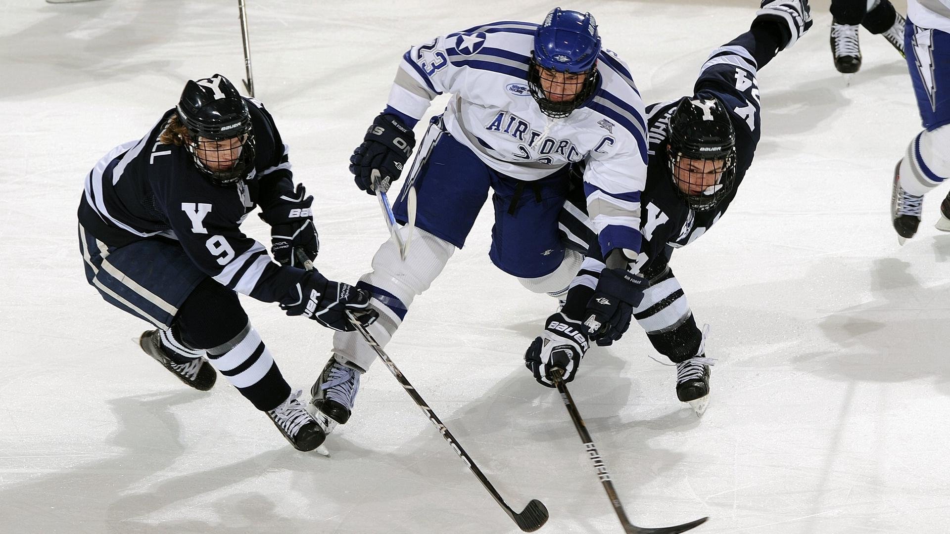 高校运动损伤防控体系建设成效评估,运动损伤防护培训班